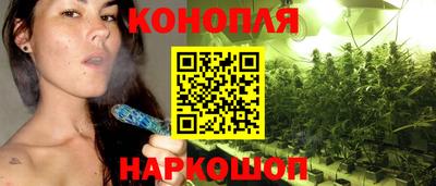 прущие грибы Сланцы