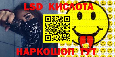 прущие грибы Сланцы